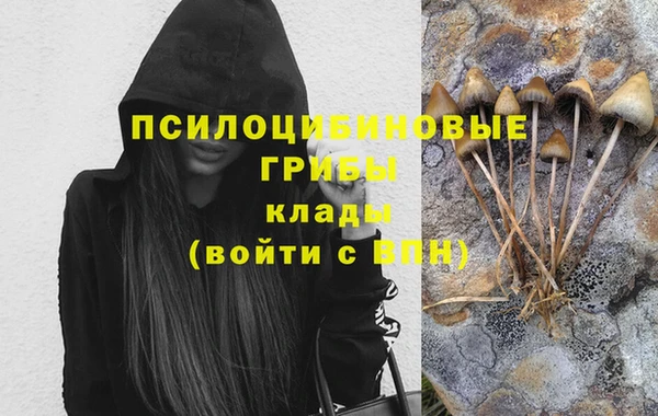 ешки Верея