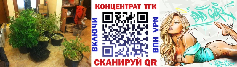 mega вход Калязин Дистиллят ТГК Wax