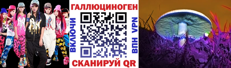 Галлюциногенные грибы Psilocybe  ссылка на мегу зеркало  Калязин 